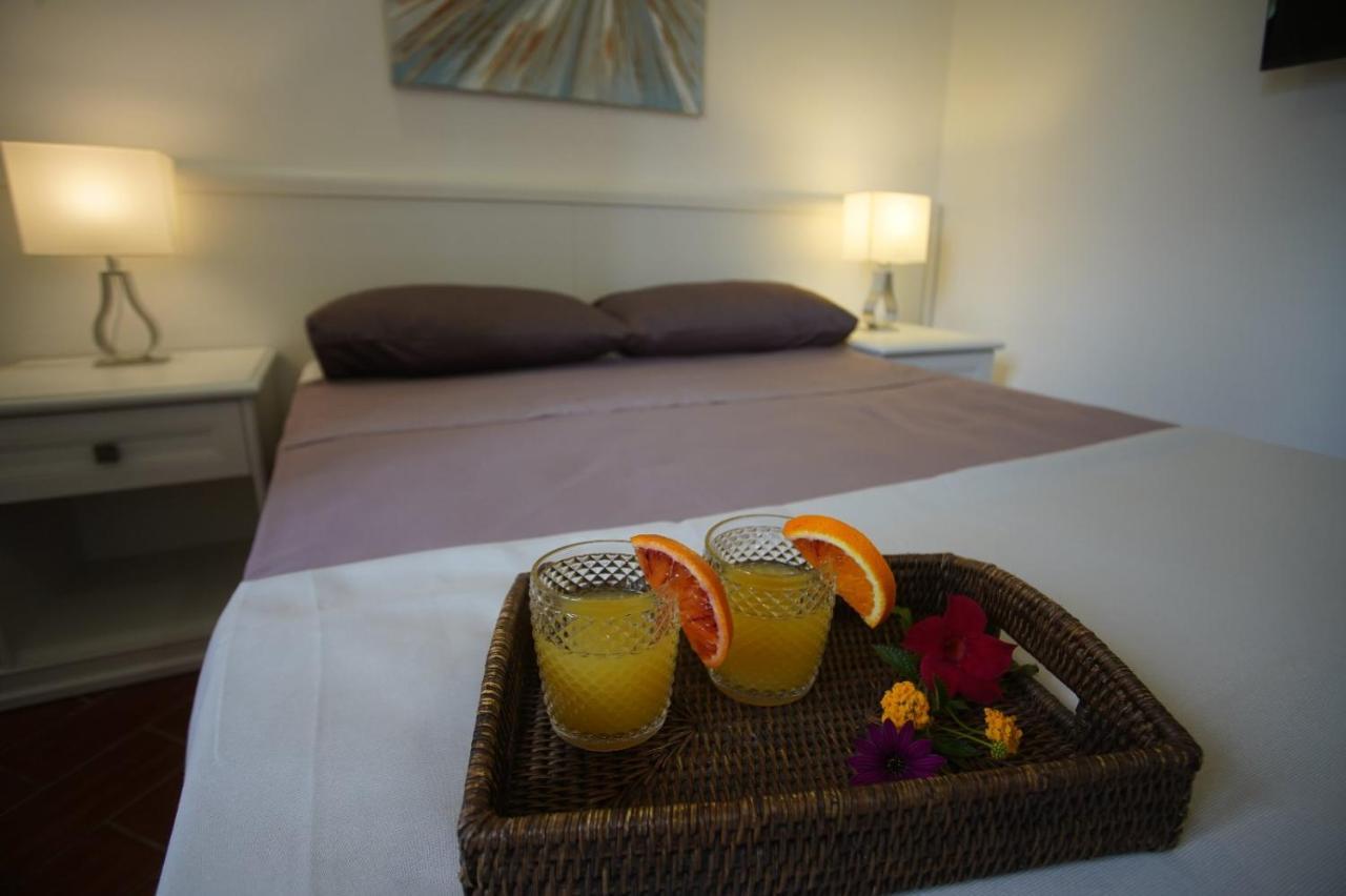 Gli Ulivi Di Gino Bed & Breakfast Sanarica Ngoại thất bức ảnh